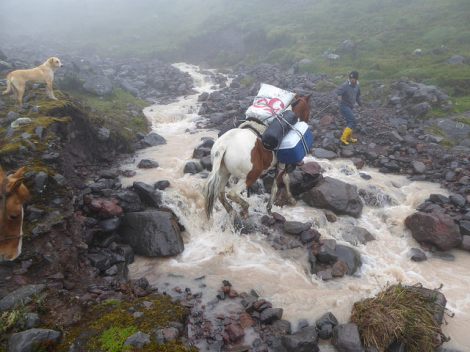 28281633782_6e9786e8f4_z